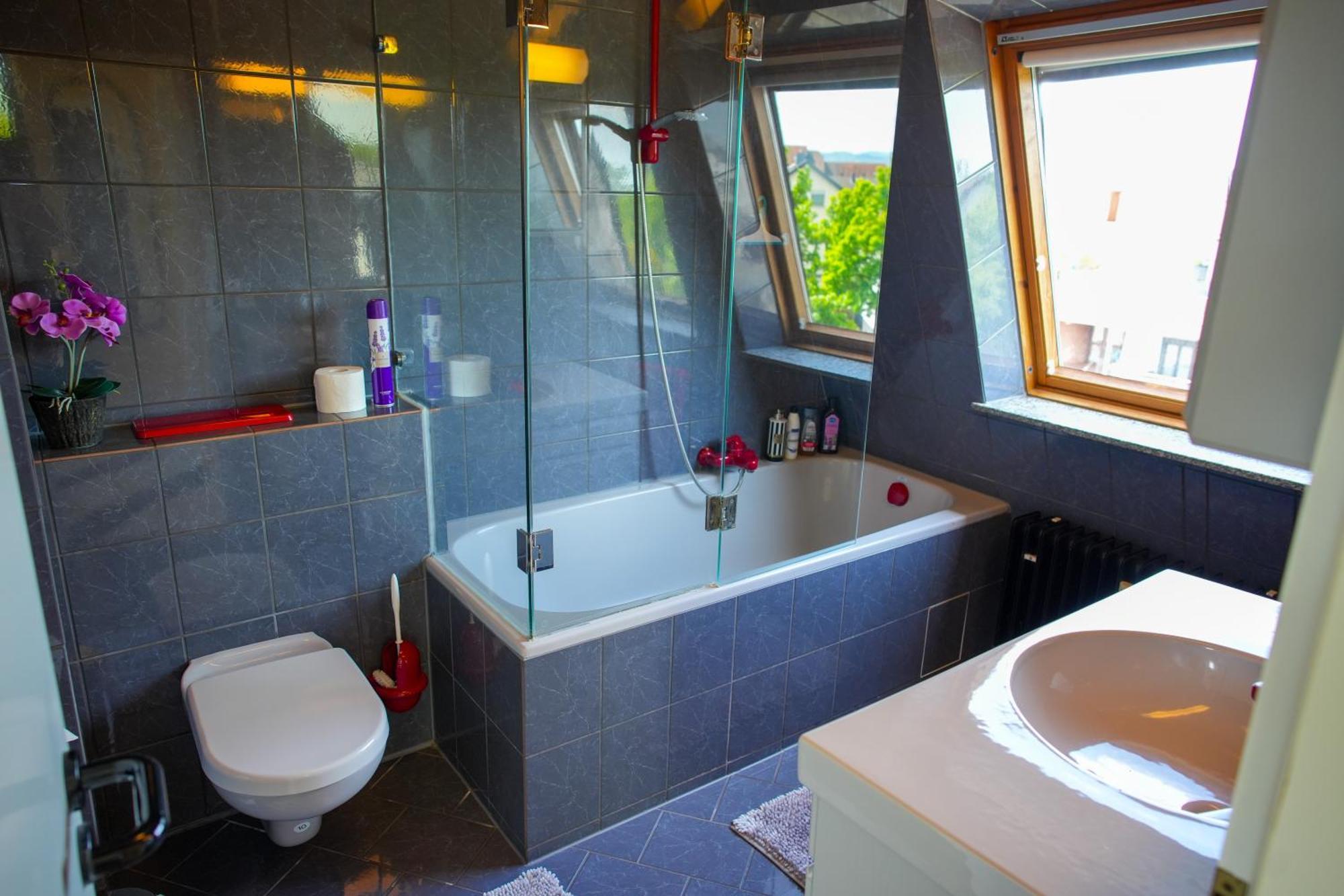 Schoenes Studio In Der Rheinebene, Zentral Gelegen Rheinstetten Extérieur photo